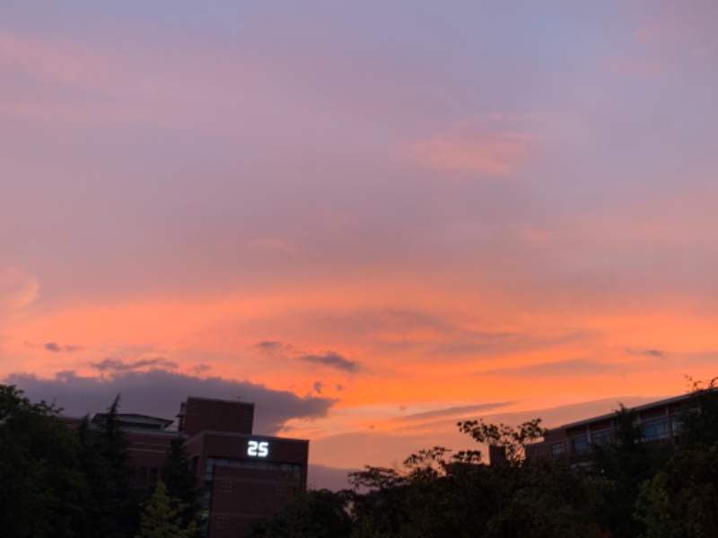 数学,语文