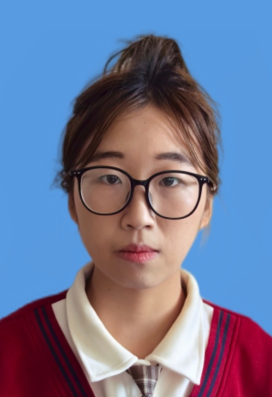 陪学,数学,物理,语文