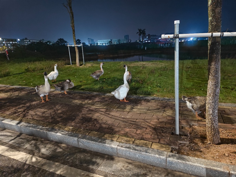 陪学,数学,英语,物理,化学,语文,生物