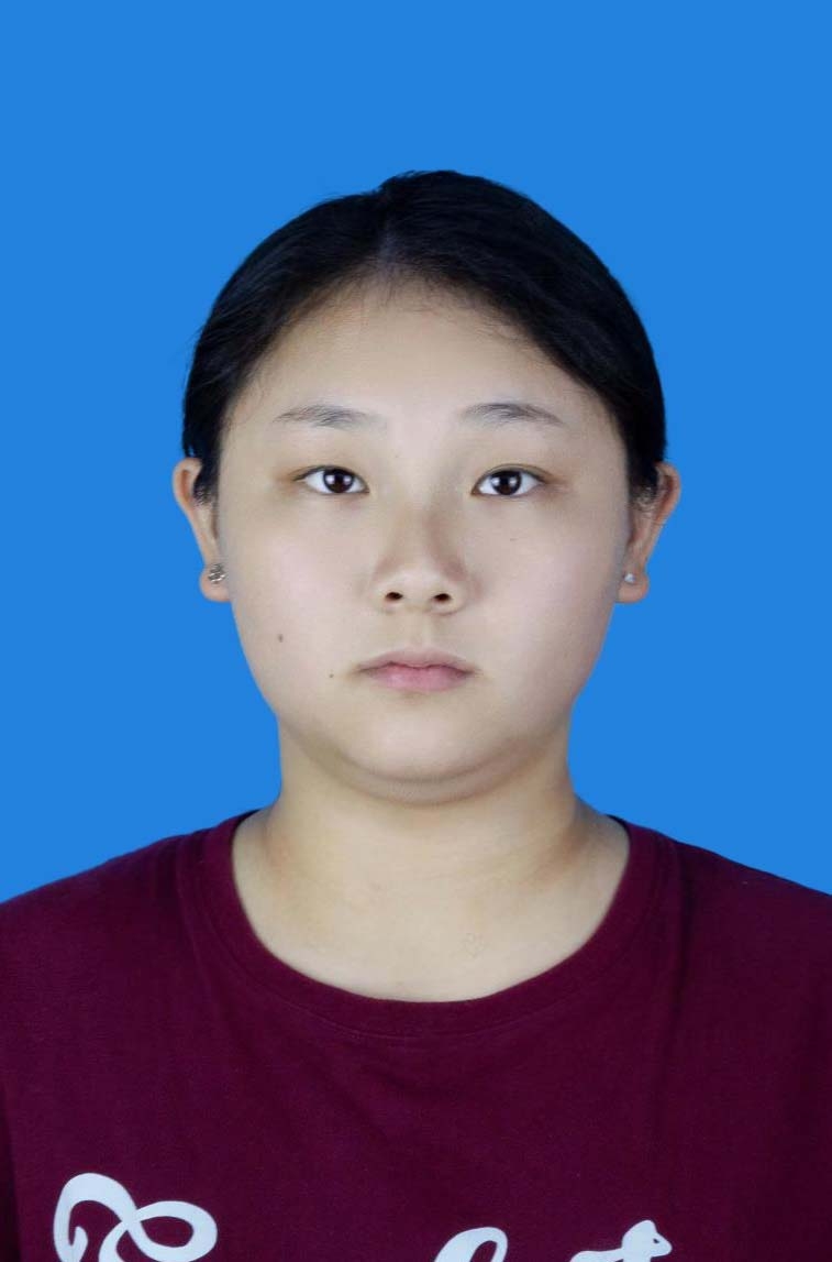 数学,英语,物理,化学