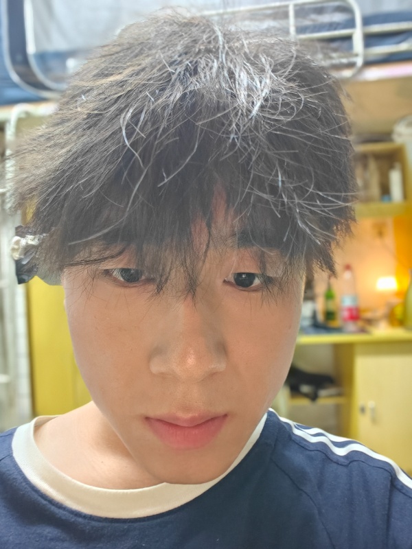 陪学,数学,英语,物理,化学,语文,生物