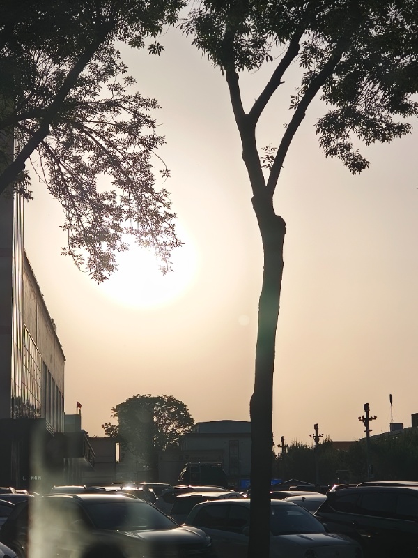 英语,语文,政治
