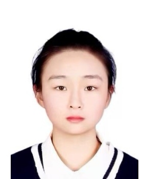 英语,语文