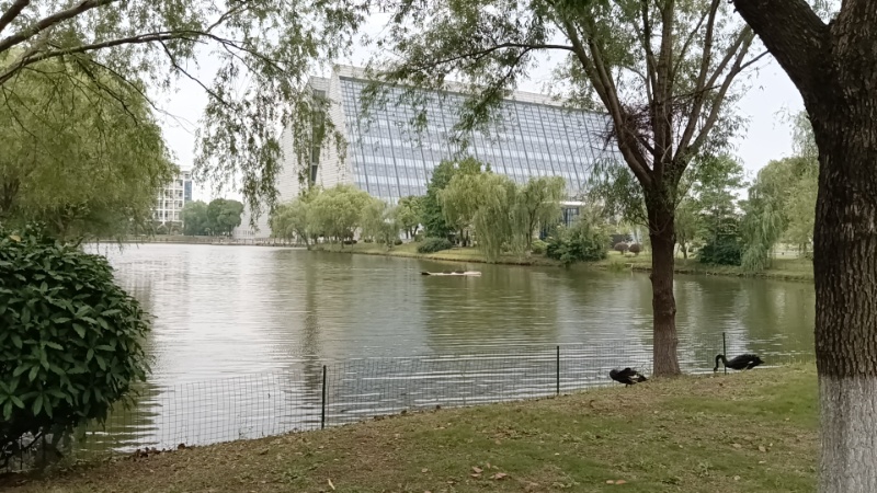 陪学,数学,英语,物理,语文,生物,地理,历史,政治