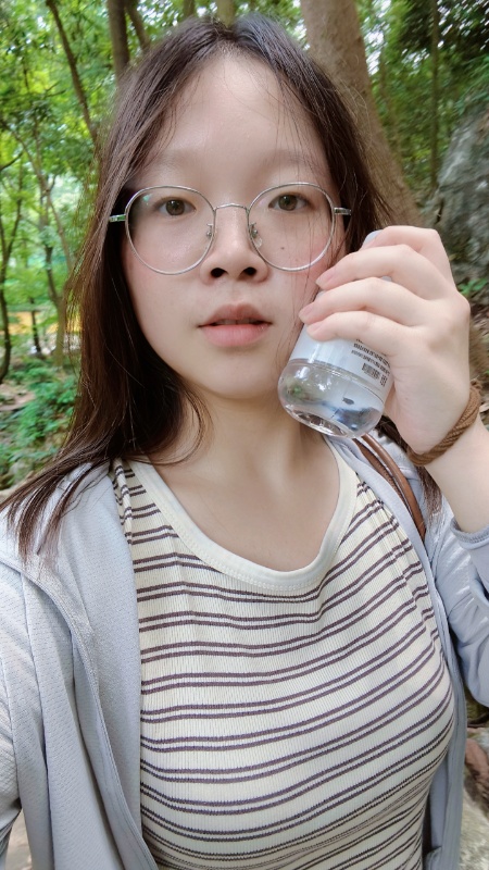数学,英语,语文,政治