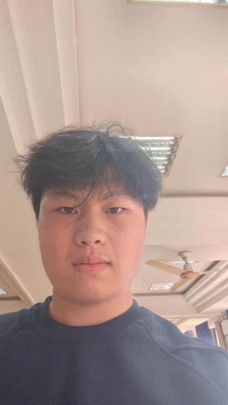 陪读,英语,语文